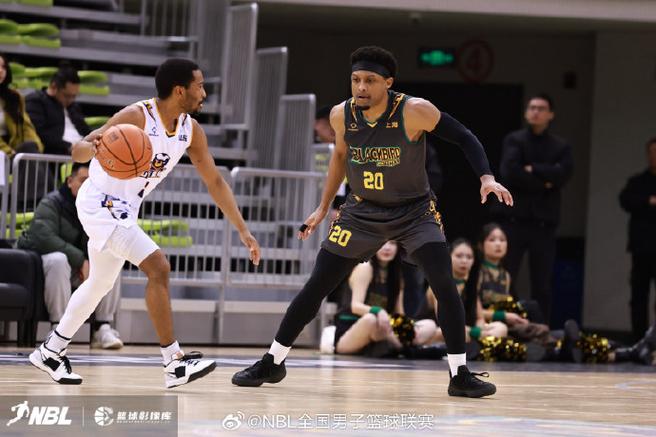 2026-03-25 NBL(中)：上海玄鸟 vs 山东蜜獾赛前分析